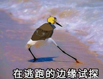 李卓韵-1.png