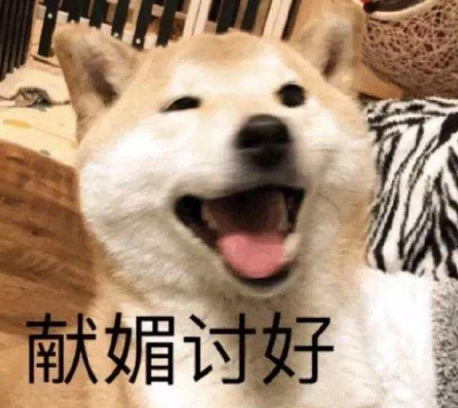 刘珂-5.png